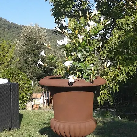 Casale Angeli In Narni